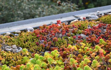the cost of Dean green roof installation
