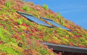 Dean living roof systems